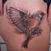 Tattoos - Sparrow  - 59423